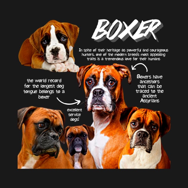 Boxer Dog Fun Facts by Animal Facts and Trivias