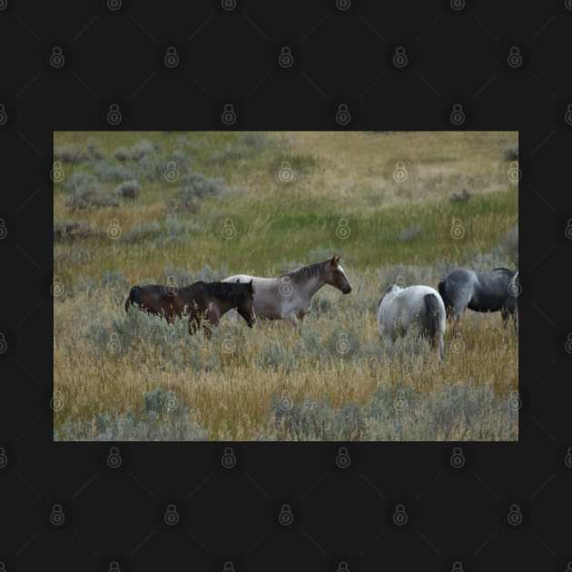 Wild Horse Herd by MarieDarcy