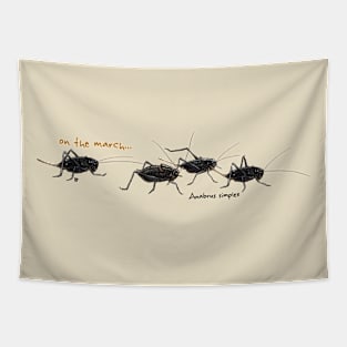 Mormon Crickets on the March Tapestry