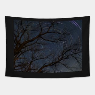 Silence of the stars Tapestry