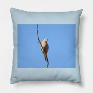 Mourning Dove, birds, wildlife, nature, gifts Pillow