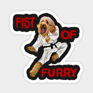 Cavapoo Fists of furry starring Kong fu Cava - Karate - martial arts Cavapoo Cavoodle puppy dog  - cavalier king charles spaniel poodle, puppy love Magnet