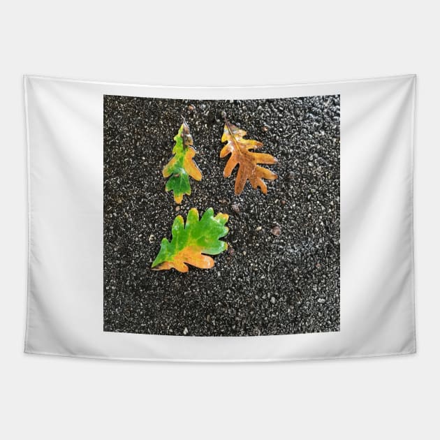 Rainy Leaves on Black Terrazzo Background Tapestry by djrunnels