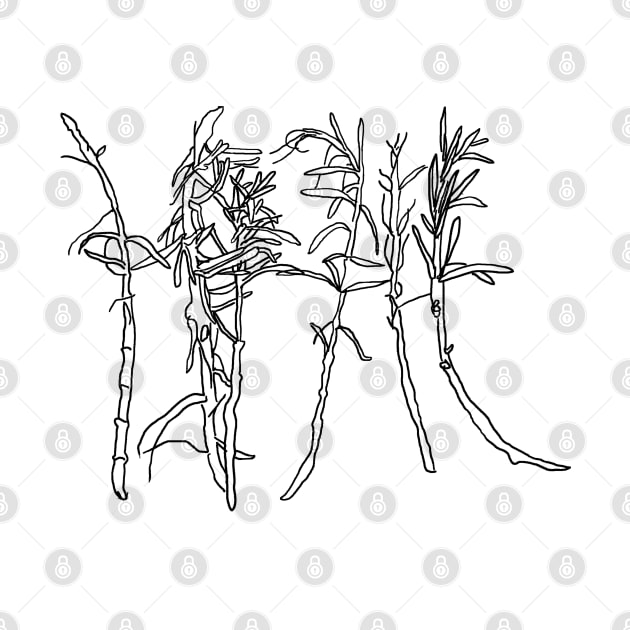 Rosemary line artwork drawing, simple modern by Earthy Planty