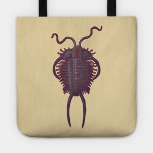 Cheirurus ingricus (Trilobite) Tote