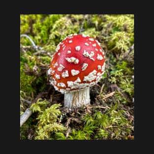 Mushroom Toadstool Forest Nature T-Shirt