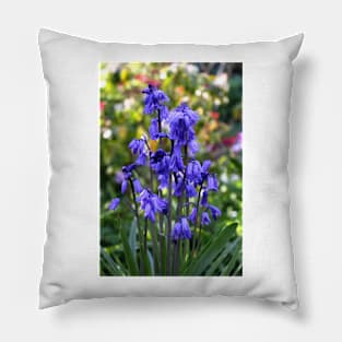 Spanish Bluebells Pillow