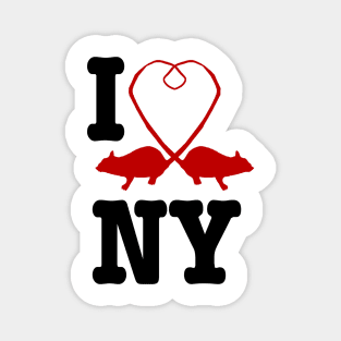 Rat NY Magnet