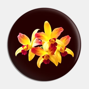 Yellow and Maroon Orchids Brassolaeliocattleya Laughing Boy Pin