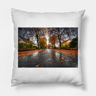 Rainy Autumn Road Pillow