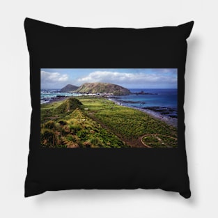 Summer at Macquarie Island & the Research Station Pillow