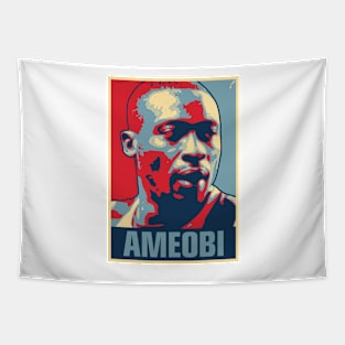 Ameobi Tapestry