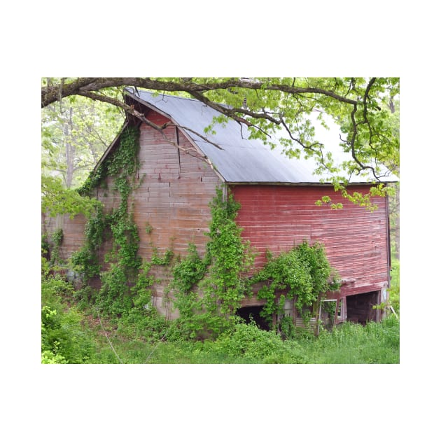 Cedar Rapids Barn by KirtTisdale