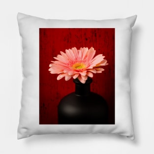 Pink Daisy In Wonderful Black Vase Pillow