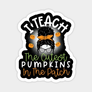 I Teach The Cutest Pumpkins In The Patch Magnet