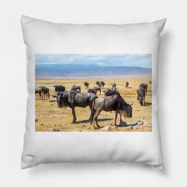 Wildebeest herd at Ngorongoro Crater in Tanzania Pillow by SafariByMarisa