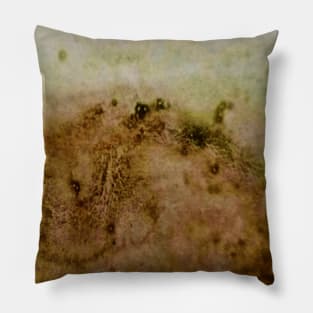 Brown green watercolor gradient  design Pillow