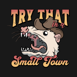 Try That In A Small Town T-Shirt