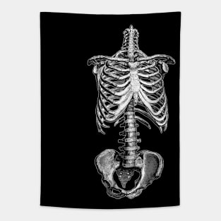 Skeleton - Vintage Illustration Design Tapestry