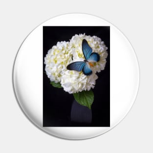 Large Blue Exotic Butterfly On White Hydrangea Pin