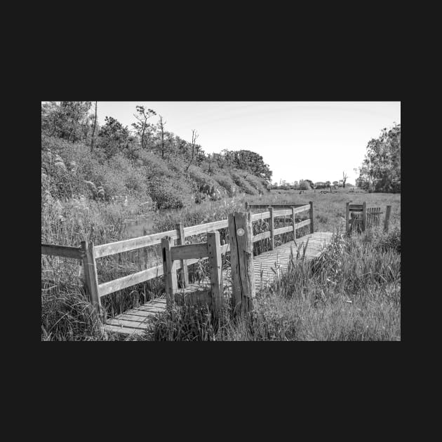 Wooden bridge in the Norfolk countryside by yackers1