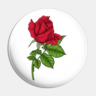 Red rose Pin