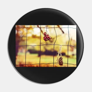 Cone and red dried rowan berries hanging Pin