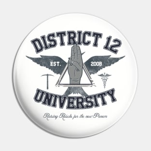 District 12 University Pin