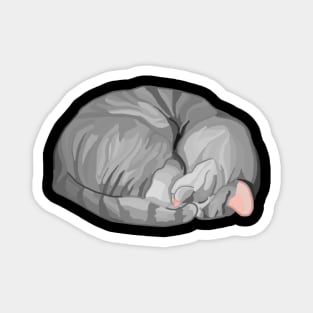 Sleeping Curled Gray Tabby Cat Magnet