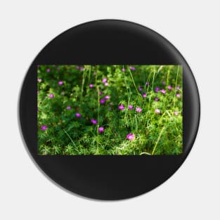 Purple Longstalk Cranesbill flowers Pin