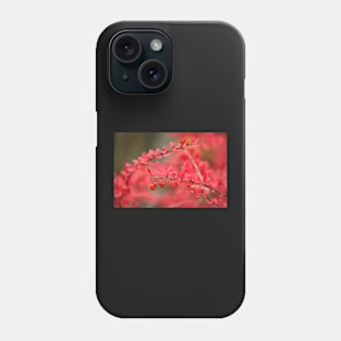Close-up of red barberry in autumn Phone Case