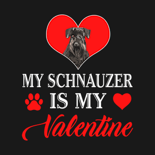 My Schnauzer is My Valentine Happy Valentines Day Heart T-Shirt