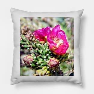 Fuscia Pink Cactus Flower Bloom Pillow