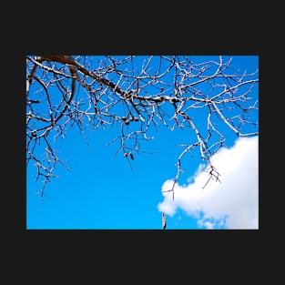 Cloudy Blue Sky and Branches T-Shirt