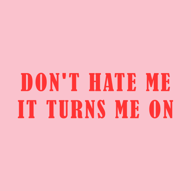 Don’t Hate Me It Turns Me On Funny Saying by elhlaouistore