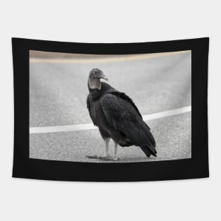 American black vulture Tapestry