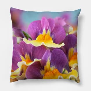 Nemesia  Aroma Rhubarb &amp; Custard  Aroma Series Pillow