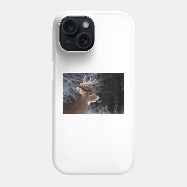 Catching Snowflakes - White-tailed Deer Phone Case by Jim Cumming