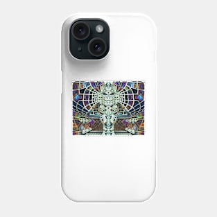 Wheel of Color Bursts Phone Case