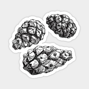 Pine cones Magnet