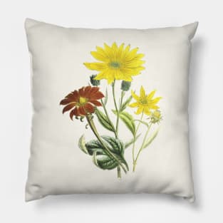 Summer Flowers Vintage Botanical Illustration Pillow