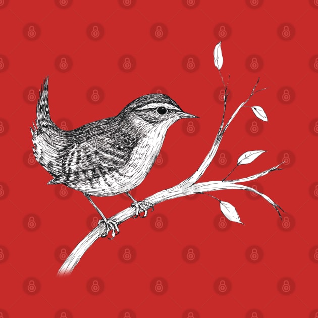 Wren pen drawing by Bwiselizzy