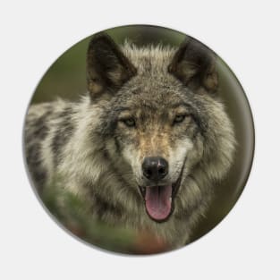 Timber Wolf Pin