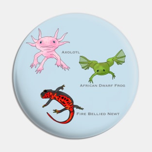 Amphibians Pin