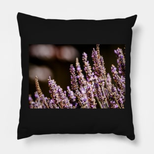 Moody lavender flowers Pillow