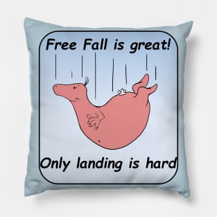 Free Fall Pillow