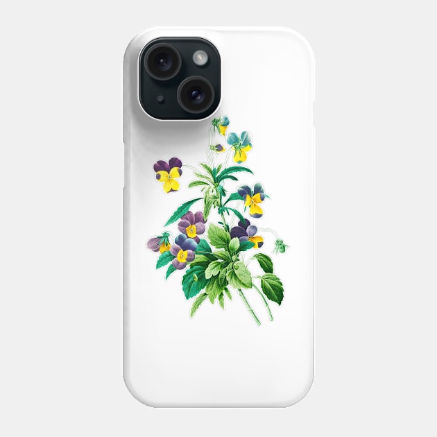 Viola - Botanical Illustration Phone Case by chimakingthings