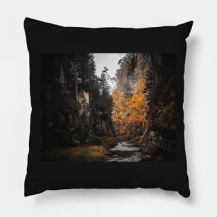 Bohemian Switzerland: Scenic Landscape Photography #3 Pillow