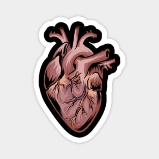 Anatomical Heart - Medical Anatomy Illustration Magnet