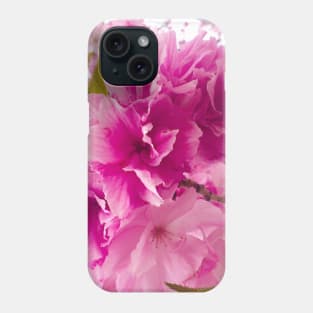 Photography - plum blossom Phone Case